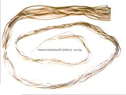 Create a loop using the 6 inches (15 cm) of twisted rope. Building A Whip Giovanni Celeste
