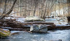 I went hiking at ridley creek state park on may 16th and to say the least, it was an awesome adventure and the longest distance i've hiked since there are several other parking lots throughout the park if you want to avoid the hunting hill mansion. Ridley Creek State Park Orange Trail The Little Gsp