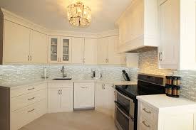 condo kitchen renovation.transitional