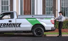 Image result for Green 2021 Fleet