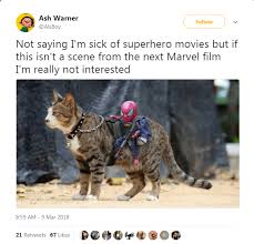 16 Animal Tweets That Made Us Laugh This Week Superhero Movies Marvel Films Animals