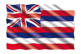 Alexander the great, isn't called great for no reason, as many know, he accomplished a lot in his short lifetime. 65 Amazing Trivia Questions About The U S State Hawaii