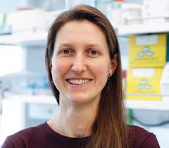 Honors Chemistry Poster Session