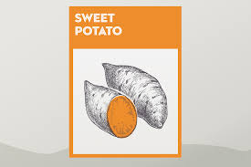 Get contact details & address of companies manufacturing and supplying potato, potatoes note: How To Grow Sweet Potatoes In Your Backyard Planting And Harvesting Sweet Potatoes