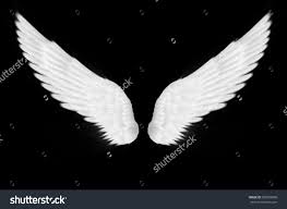 Black And White Wings Background The White Wings On Black Background Photo Libre De Droits 369569000 Shutterstock Ange