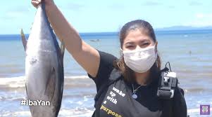 Start studying cartilaginous and bony fishes. Tambakol