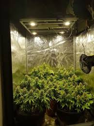 How do you keep your tent cool? Cool Stuff