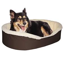 Like most people, your normal body temperature likely hovers right around 98.6°f (37°c). 15 Dog Beds Made In Usa Under U S Quality Control In 2020 Updated