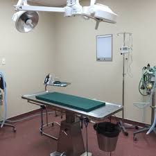 And his staff we decided this was the clinic we. Animal Hospital Of Monticello Veterinarians 719 W Bridge St Monticello Il Phone Number Yelp