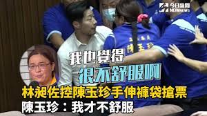 尽管是菜鸟立委，陈玉珍以大胆作风、呛辣发言备受关注，包括在议场朝野冲突祭出万安紧抱死守主席台，行使 监察院 人事同意权将手伸进无党籍立委林昶佐口袋抢票，以及总质询数次舌战 行政院长 苏贞昌等皆是名场景，让陈一战成名，迅速跃升全台知名人物。 æž—æ˜¶ä½æŽ§é™³çŽ‰çæ‰‹ä¼¸è¤²è¢‹æ¶ç¥¨é™³çŽ‰ç æˆ'æ‰ä¸èˆ'æœ Youtube