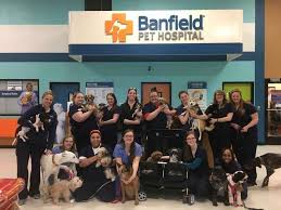 Spaying or neutering, which can help lower the risk of some diseases in dogs and try searching affordable vet clinics near me or ask your vet about treatment options and costs, as well. Veterinarians In Hyde Park Oh Banfield Pet Hospital