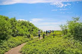 花蓮景點四八高地 ig觀海秘境 夢幻180度俯瞰七星潭絕美月牙海灣 livia s wonderland薇笑樂園 outdoor farmland vineyard