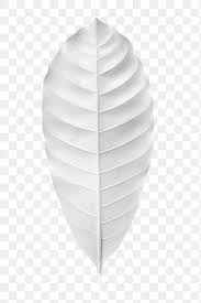 Dry Bleached White Leaf Transparent Png Premium Image By Rawpixel Com Teddy Rawpixel White Leaf Png Transparent