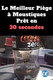 Le Meilleur Piege A Moustiques Pret En 30 Secondes Piege A Moustiques Moustique Trucs Et Astuces Maison