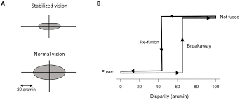 Image result for Visual Fixation