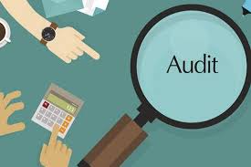 What are standard statutory audit fees? Critical Components Of The Statutory Audit Process Asit Mehta And Associates