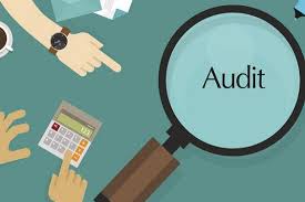 Critical components of the statutory audit process - Asit Mehta and Associates