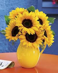 Michael salkin most fresh cut flower foods are a mixture of a weak acid (acts as an antibacterial) and a sugar (for nutrition). Photos Of Poisonous Plants And Flowers For Cats