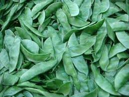 Find here vegetable seeds manufacturers & oem manufacturers india. Lablab Bean Products Malaysia Lablab Bean Supplier
