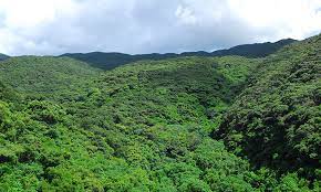 We've got 2 easy trails in yambaru national park ranging from 2.9 to 5.3 km and from 27 to 324 meters above sea level. Yambaru National Park Characteristics Moe