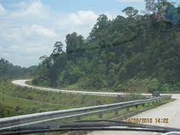 Pemandangan kebun teh di cameron highland. Jalan Gua Musang Ke Cameron Highland Mapio Net