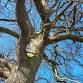 Spooky Nature for SEND families – October 31st event image