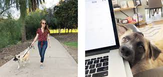 A minimalist style tiny living room may feel like it has no space at all left to add to it. What Is Your Morning Routine 343 Answers