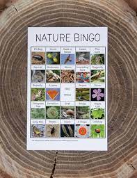 Free Nature Bingo Printable Perfect For Kids Summer Fun Bring This Nature Bingo Out On A Hike To The Par Nature Bingo Summer Fun For Kids Bingo Games Free