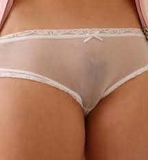 Nothing better than seeing the outline of her camel toe thru the gusset of her silky panites! Cameltoe Panties Tumblr