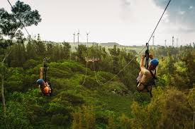 Zipline Tour On Oahu S North Shore 2021