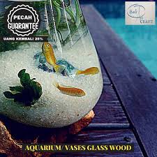 Aquarium ikan cupang ukuran 11 x 11 x 15 cm. Jual Akuarium Ikan Cupang Mini Xl Kaca Tiup Akar Bali Aquascape Aquarium Unik Glasswood Wooden Craft Ikan Hias Ready Stock Pot Vas 15 Cm Online Maret 2021 Blibli