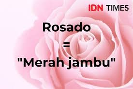 Dengan dilengkapi oleh kosakata ini, anda pasti akan lebih menikmati liburan anda di negara spanyol. 12 Kosakata Warna Dalam Bahasa Spanyol Hafalin Yuk