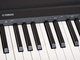 Others are more intent on perfecting piano technology. Top 10 Best Digital Piano Keyboard Brands 2020 Fire Inside Music