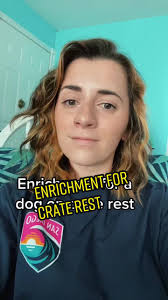 Dog Kong Filler Ideas