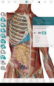 Human anatomy atlas también incluye la descarga de la aplicación para android e . Human Anatomy Atlas 7 Springer For Android Apk Download