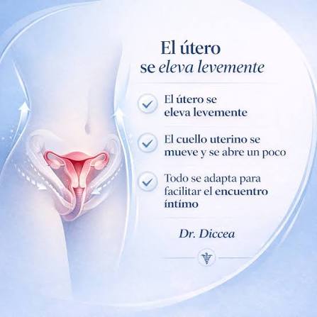 Muchas veces en consulta me hacen esta pregunta: “¿Qué pasa en mi cuerpo  durante la intimidad?” 👀 Y la realidad es que casi nadie lo explica bien.  Tu cuerpo no está “reaccionando