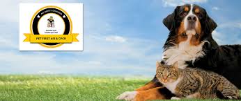 Huntersville, cornelius, davidson, lake norman, north charlotte and (north lake area), concord, concord mills Paws And Claws Pet Sitting For Those Who Have To Stay Home