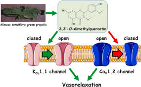 Image result for Mimosa Yellow 1990 Tracer