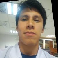 10+ "Willy Felix" profiles