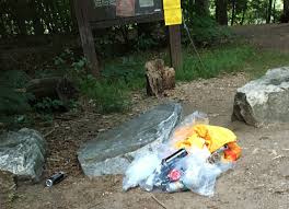 We did not find results for: Paugussett State Forest Newtown 2021 All You Need To Know Before You Go With Photos Tripadvisor
