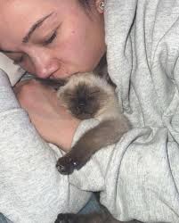 My baby is 1️⃣!! Apollo Baby Boy!❤️ @apollo_the_siamese