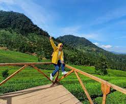 Tempat wisata di bandung tidak akan pernah bisa di datangi seluruhnya hanya dalam satu kali bandung, menjadi salah satu destinasi favorit bagi para wisatawan baik dari dalam negeri maupun. 10 Tempat Wisata Di Bandung Selatan Terbaru Dan Terfavorit