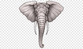Tattoo pro stencils are easy to use, high quality free hand airbrush tattoo stencils, about 8 x 10 in size that are perfect for creating realistic tattoos within minutes. Gray Elephant Illustration Sleeve Tattoo Elephant Tattoo Artist Tattoo Ink Elephant Head Mammal Animals Png Pngegg