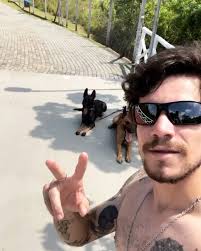 Como consegui atingir um certo patamar com meus cães?, Primeiramente tendo  a consciência que foi pelas minhas escolhas que eles estão aqui hoje, eles  não me pediram pra morar comigo e viver sob as ...