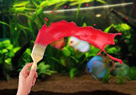 Maybe you would like to learn more about one of these? 5 Ide Hiasan Akuarium Yang Bisa Kamu Coba Sendiri Di Rumah