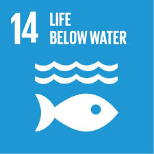 Sdg14 Life Below Water Http Www Un Org Sustainabledevelopment Sustain Un Sustainable Development Goals Sustainable Development Sustainable Development Goals