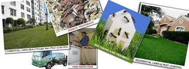 Flying asian cockroach overview and control. Tri S Pest Control Home Facebook