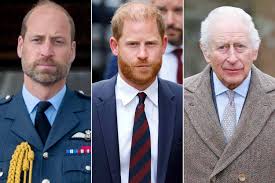 Was Prince William Aware of Meeting Between Prince Harry and King Charles'  Aides?