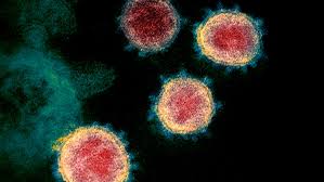 The arrival of variants in ontario — particularly the new delta variant first identified in india share this article in your social network. Delta Variant Rising Rapidly In Ontario But Covid 19 Vaccines Offer Better Protection Than Previously Thought Yaffe Ctv News