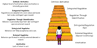 Study Review The Coach Athlete Relationship Be Autonomy Supportive Intrinsic Motivation Motivation Definition Of Motivation
